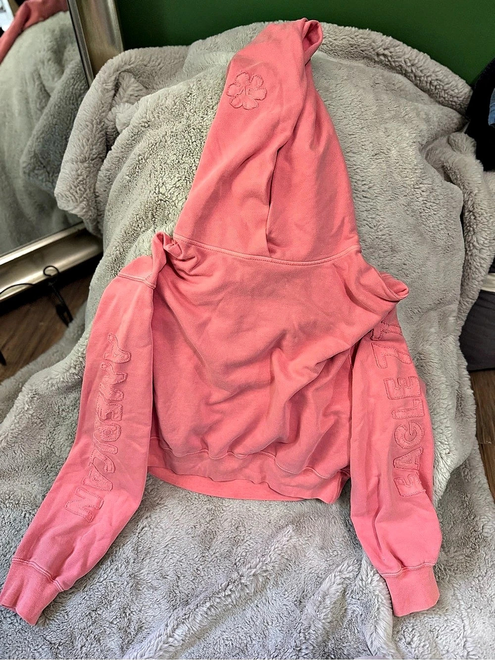American Eagle Outfitters AE77 Embroidered Sleeve Hoodie Pink